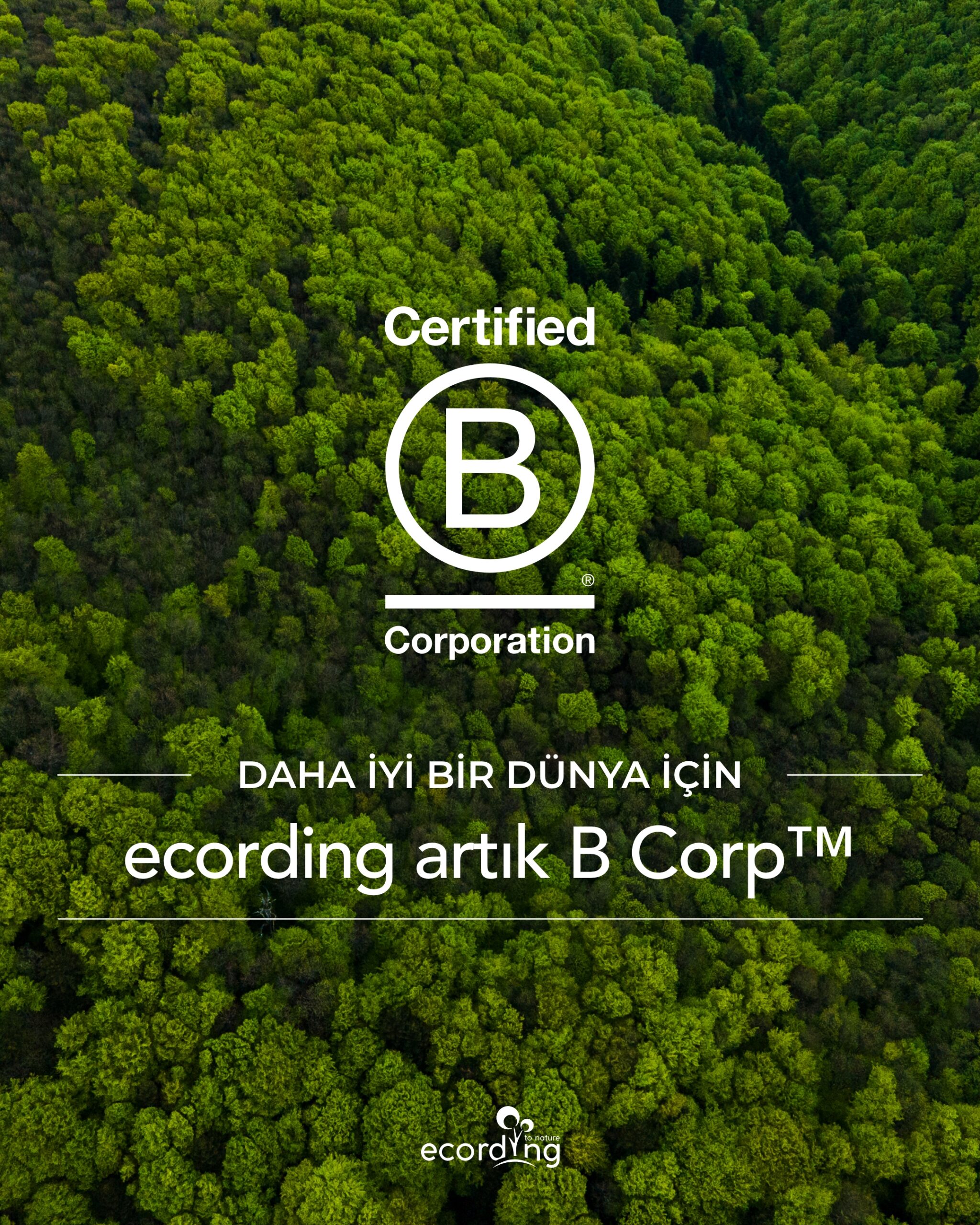Bcorp – TR