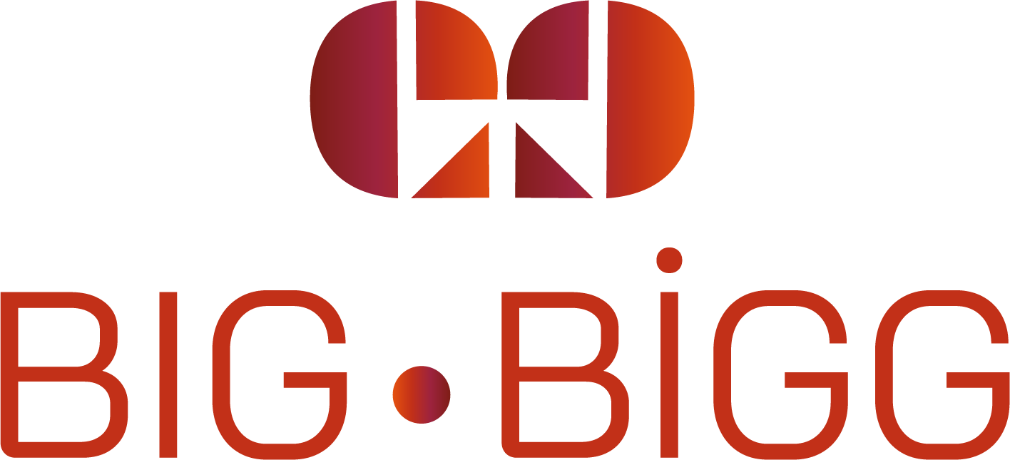 BIG BİGG
